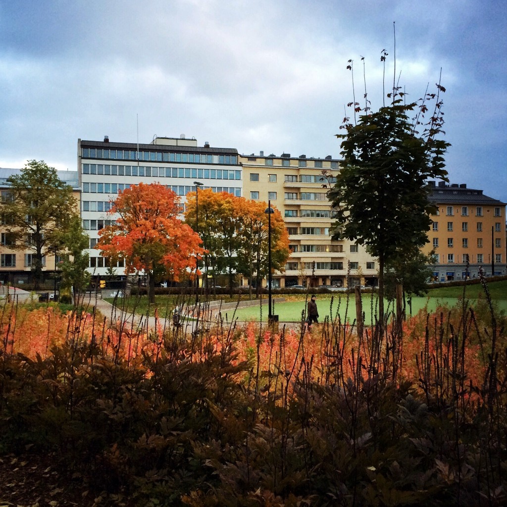 Parc (Lastenlehdon puisto) dans le quartier de Kamppi à Helsinki © Photographie Damien Alcantara
